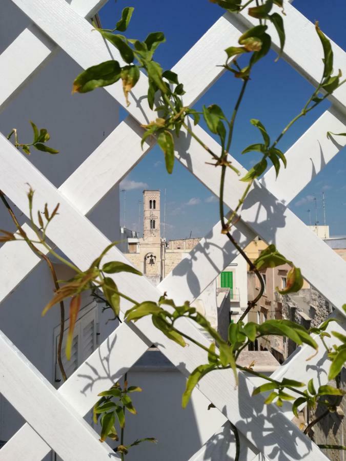 Sant'Andrea Apartment Molfetta Zewnętrze zdjęcie